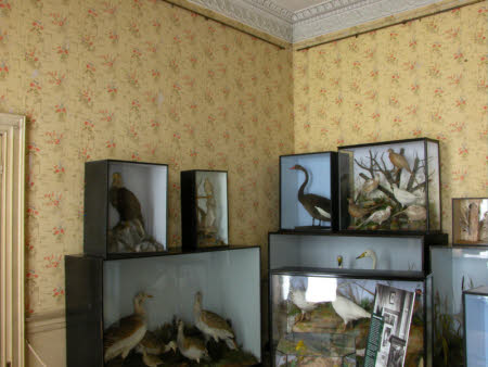 Calke Abbey © National Trust / David Midgelow