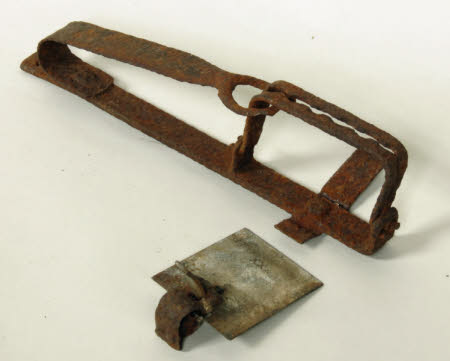 Animal trap