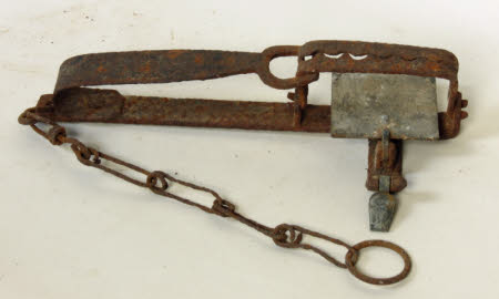 Animal trap