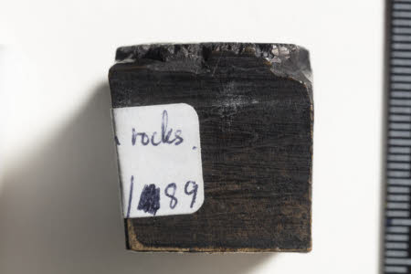 Cherryburn © National Trust / Andrew McGregor