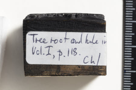 Cherryburn © National Trust / Andrew McGregor