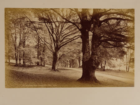 Lacock - Fox Talbot Museum  © National Trust / Geoff Castle
