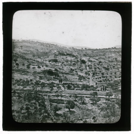 A Mediterranean countryside landscape.