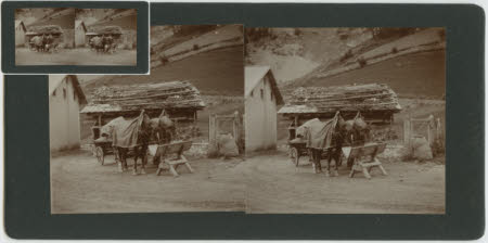 A rural scene, Sulderthal(?), Tyrol, Austria