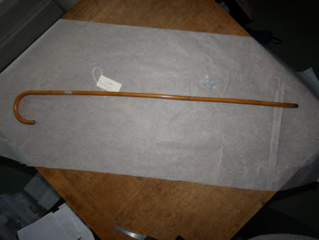 Walking cane
