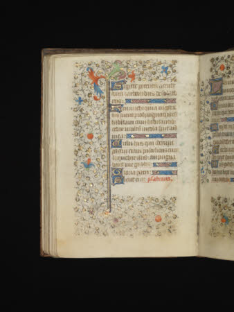 NTI Coughton ©National Trust Images/David Brunetti