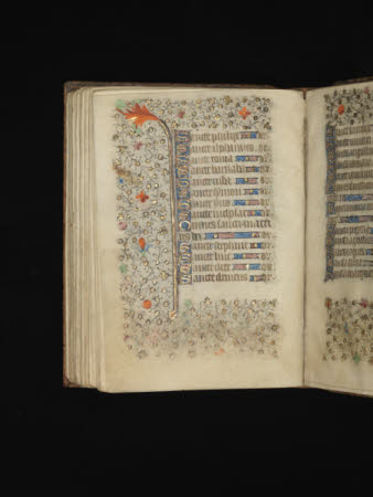 NTI Coughton ©National Trust Images/David Brunetti