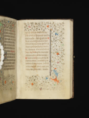 NTI Coughton ©National Trust Images/David Brunetti