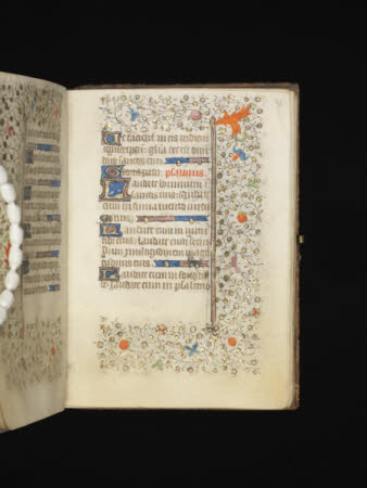 NTI Coughton ©National Trust Images/David Brunetti