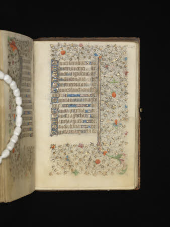 NTI Coughton ©National Trust Images/David Brunetti