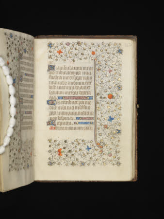 NTI Coughton ©National Trust Images/David Brunetti