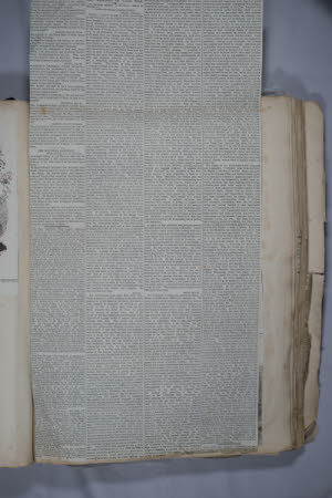 Gunby Estate, Hall and Gardens © National Trust / Wayne Lagden