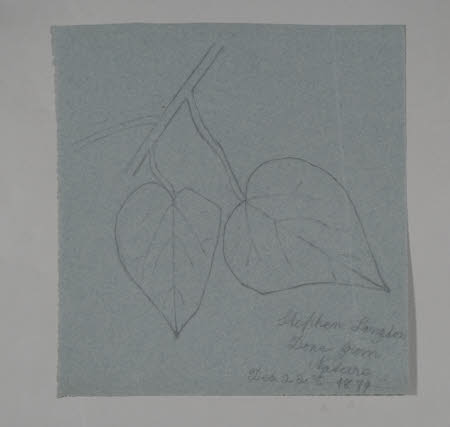 Gunby Estate, Hall and Gardens © National Trust / Wayne Lagden