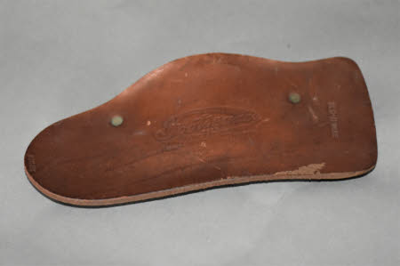 Shoe insert