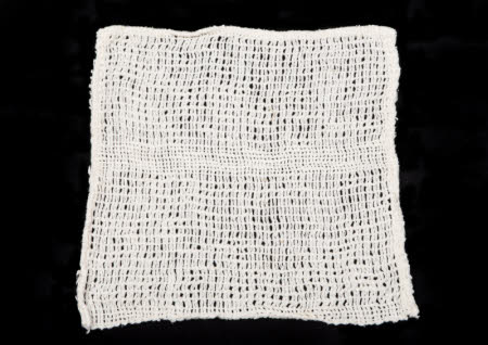 Dishcloth