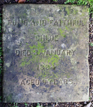 Pet gravestone