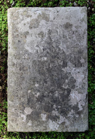 Pet gravestone