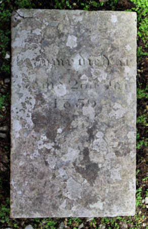 Pet gravestone