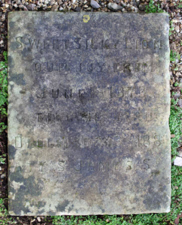 Pet gravestone