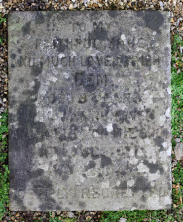 Pet gravestone