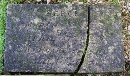 Pet gravestone