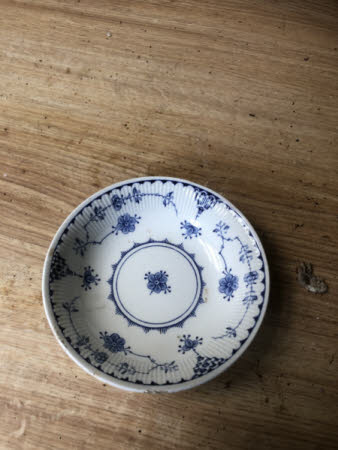 Dish