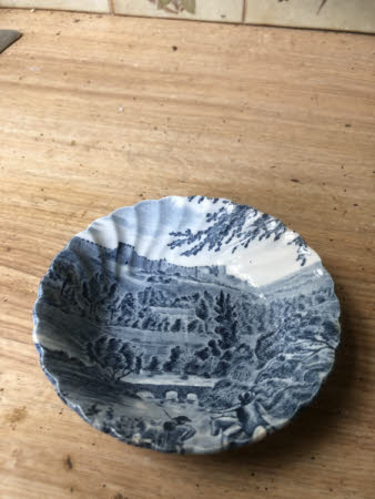 Dish