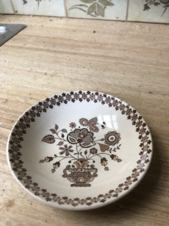 Dish