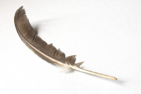Feather