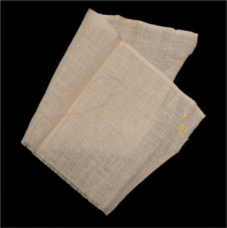 Tyntesfield © National Trust / Volunteer Photographic Team