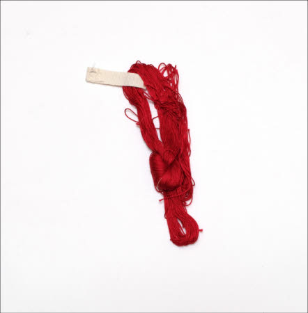 Tyntesfield © National Trust / Volunteer Photographic Team