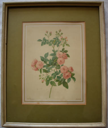 Roses (after Pierre-Joseph Redouté) 