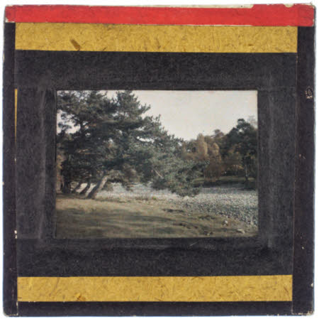A rural scene