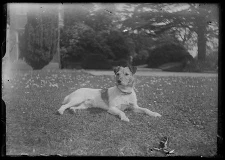 Negative on glass
