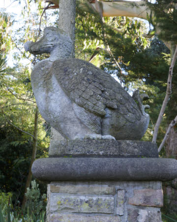 Dodo