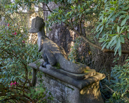 Mount Stewart © National Trust / Bryan Rutledge