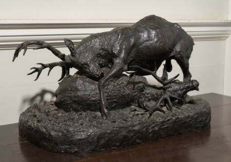 Two Stags in Combat