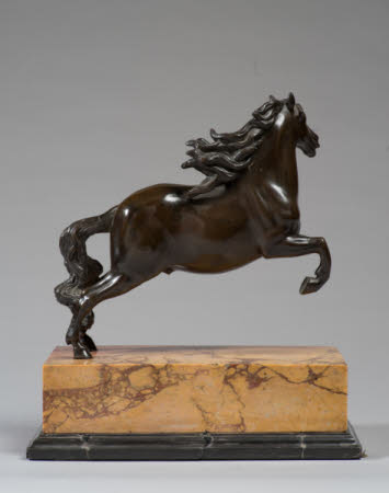 A stallion performing the curvette dressage movement