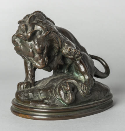 A Lion fighting with a Snake