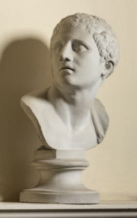 Head of a male Niobid