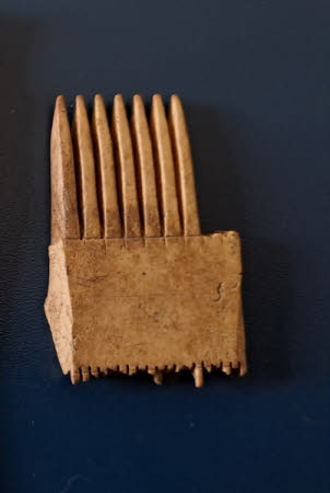 Comb fragment