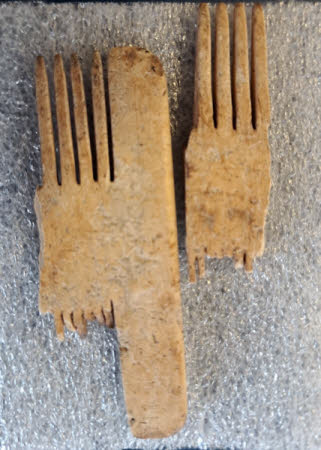 Comb fragment