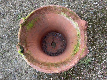 Hidcote Manor Garden © National Trust