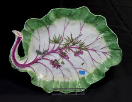 Dish