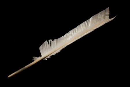 Feather