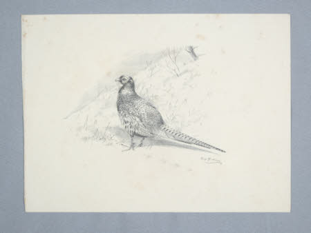 Gunby Hall © National Trust / Wayne Lagden