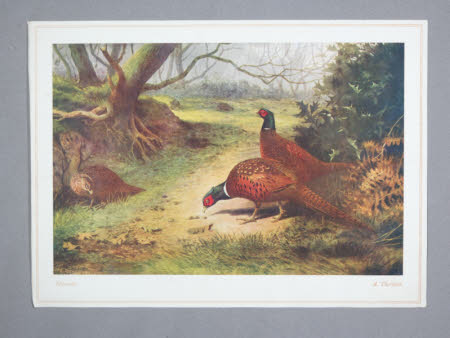 Gunby Hall © National Trust / Wayne Lagden