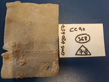 Corfe Castle ©National Trust/ Rachel Rider