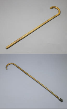 Walking cane
