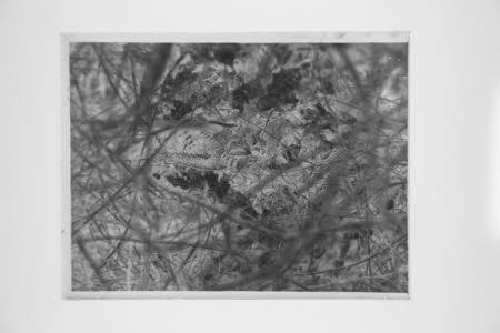 Glass negative